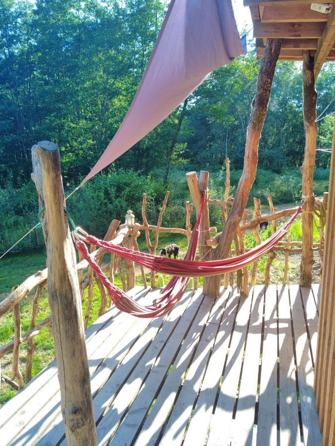 Gite Nature Au Pied Des Hetres Vitrac-sur-Montane ภายนอก รูปภาพ