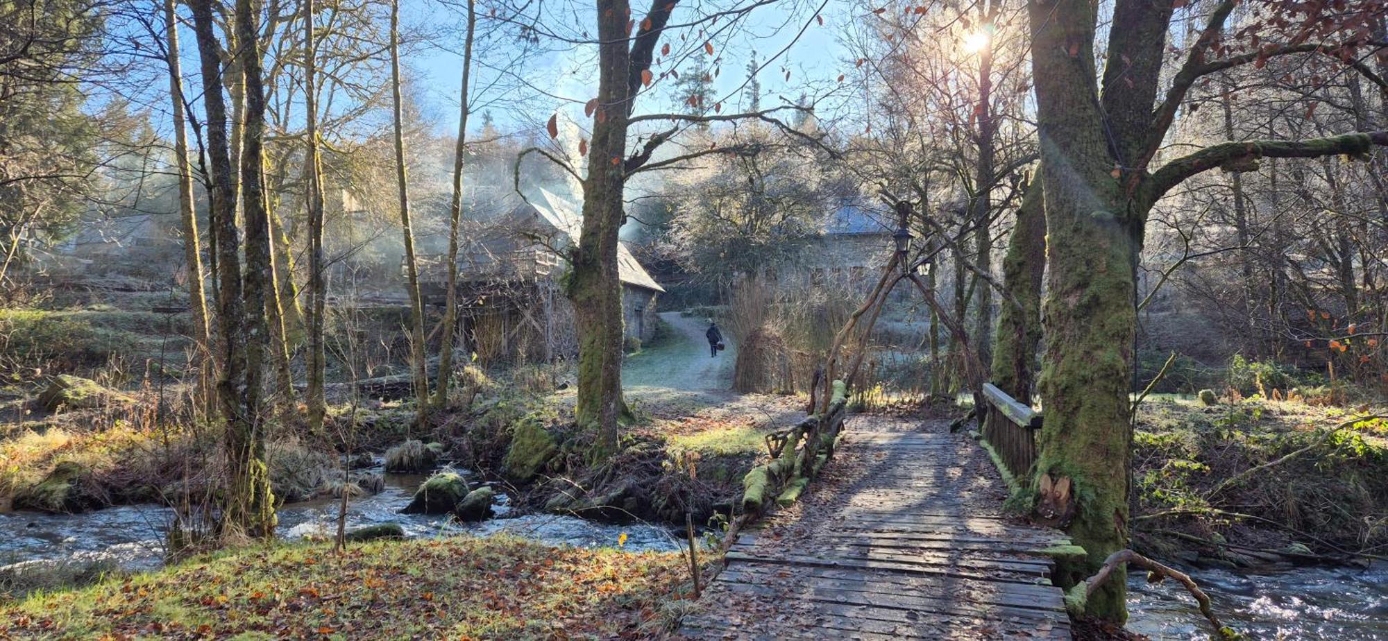 Gite Nature Au Pied Des Hetres Vitrac-sur-Montane ภายนอก รูปภาพ